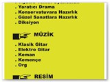 afis2 (43)